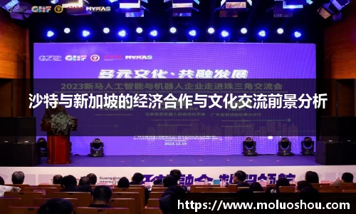 沙特与新加坡的经济合作与文化交流前景分析